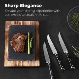 Master Maison 4-Piece 5" Ultra Premium Steak Knife Set | 4 German Non-Serrated Stainless Steel Kitchen Steak Knives + Wood Chef Gift Box | Anti-Fatigue Ergonomic Full-Tang Triple-Riveted Handle, Black