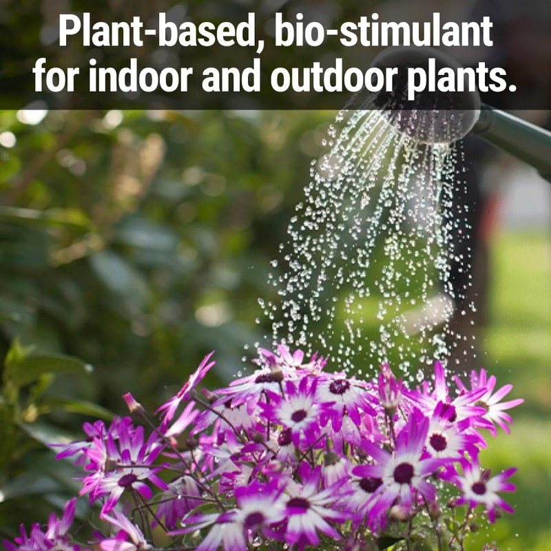 Seedlingers Flower Food Pint Concentrate