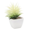 6PCS Potted Artificial Succulents Artificial Plants in Pots Plastic Fake