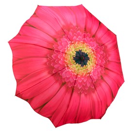 Galleria-Pink Daisy Auto-Open/Close Large Portable Rain Folding Umbrella