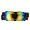 Dog Goggles Wind Sand UV Protection Eye Protection Adjustable Dog