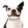 Bling Dog Collar for Small Medium Large Dogs, Rhinestone Dog