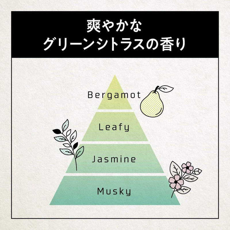 Success 24 Cleansing Shampoo, Refill, 9.5 fl oz (280 ml)