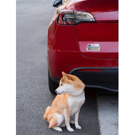 Shiba Inu Dash Cam Sticker, Adorable Shiba Dog Design (Red, Black & Tan, Cream Shibas), Car Camera Decals, Weather-Resistant Automotive Decoration (Glitter)