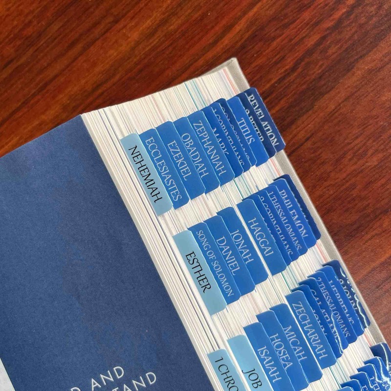Thinkor Reposition Bible Tabs, Large Print Lanimated Stickers, Easy to