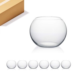 WGV Bowl Glass Vase Bulk, Diameter 8", Height 6", Open Width 5", (Multiple Sizes Choices) Clear Bubble Planter Terrarium Fish Bowl for Wedding Event Home Decor, 6 Pieces (VBW0008A)