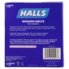 Halls Soothing Shower Melts 5 Pack - Mentho-lyptus Scented Aromatherapy