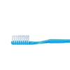 Disposable Toothbrushes with Toothpaste, Pack of 100, Soft Nylon Bristles