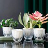 XKYQSY 4 Pack 4 inch Self Watering Pots Planters for