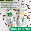 Caffenu Descaling Solution for Sage Machines (1 bottle - 2