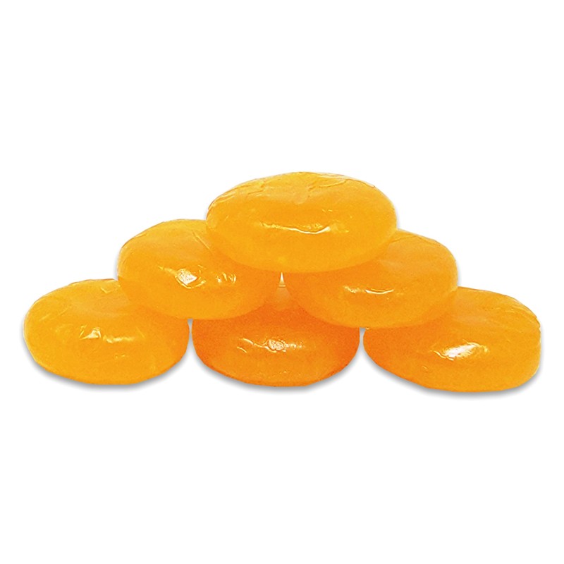 Butterscotch Hard Candy Disc. 1 Pound. Individually Wrapped and Sealed.