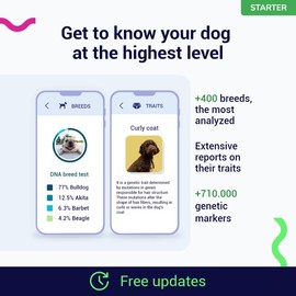 Koko Genetics Starter DNA Test for Dogs, Analyzes & Identifies 400+ Breeds and Offers 25+ Genetic Traits and Ancestry Reports, Lifetime Updates Included