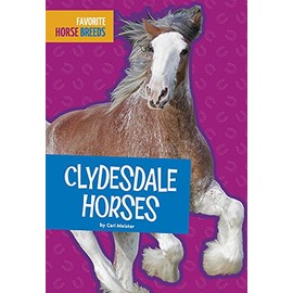 Clydesdale Horses (Favorite Horse Breeds)