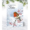 Olivia Samuel Sister Christmas Card - Medium Sized Card