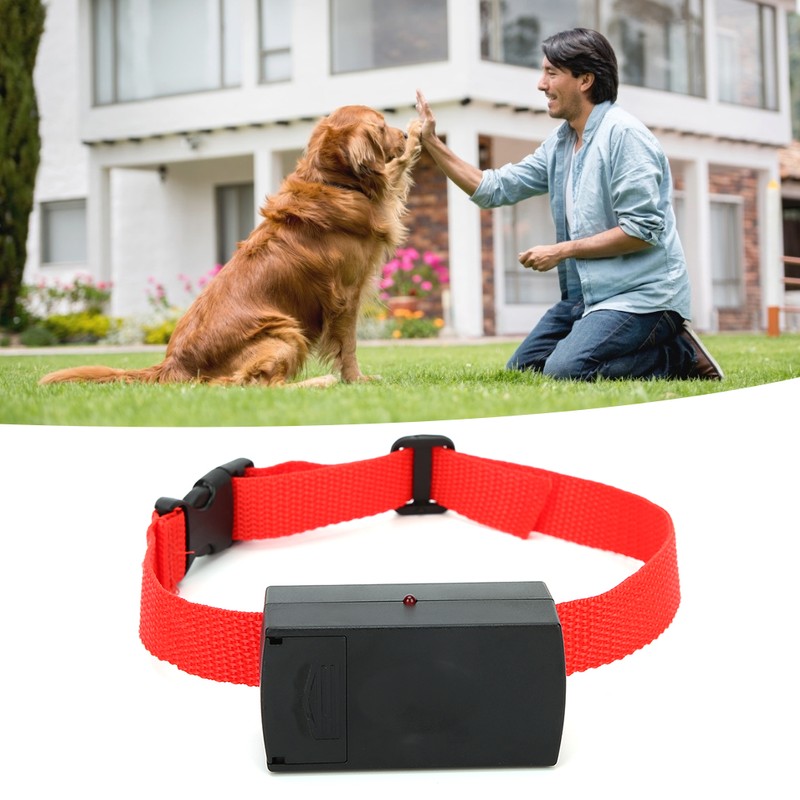 Plastic High Technology Outdoor Battery Pet Electric Shock Bark Stopper
