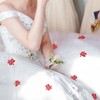 HannaFires 30PCS Traditional Shape Mini Double Happiness Wedding Decorations -