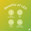 GE Lighting LED+ Backup Battery Light Bulb, Rechargeable, Soft White,