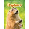 Gophers