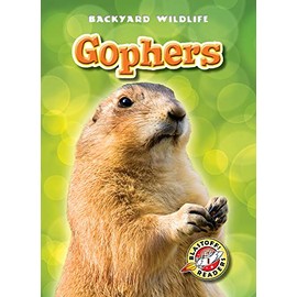 Gophers
