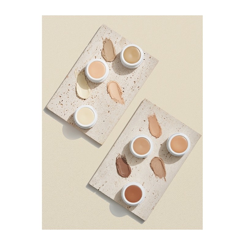 Chemerflage Cream Concealer 6g / 케머플라지 크림 컨실러 6g