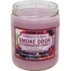 Odor Exterminator Candle Mulberry and Spice 13oz by Smokers Candle