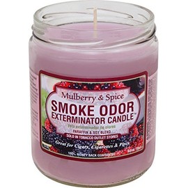 Odor Exterminator Candle Mulberry and Spice 13oz by Smokers Candle