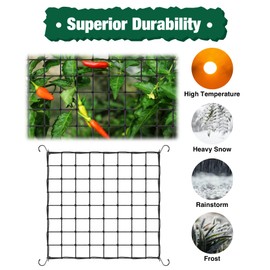 Torchesy Scrog Net Plant Net Elastic Stretchy Trellis Net Reusable Grow Net Comes with 4 Hooks Grow Tent Net Suitable for Flowers Fruit Vegetable Climbing Plant (2 Pieces 80 x 80 cm)