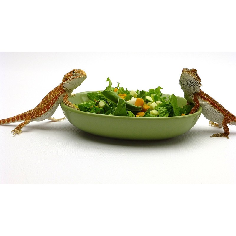 Carolina Reptile Veggie Chopper