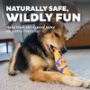 Charming Pet Squawkers Dog Toys