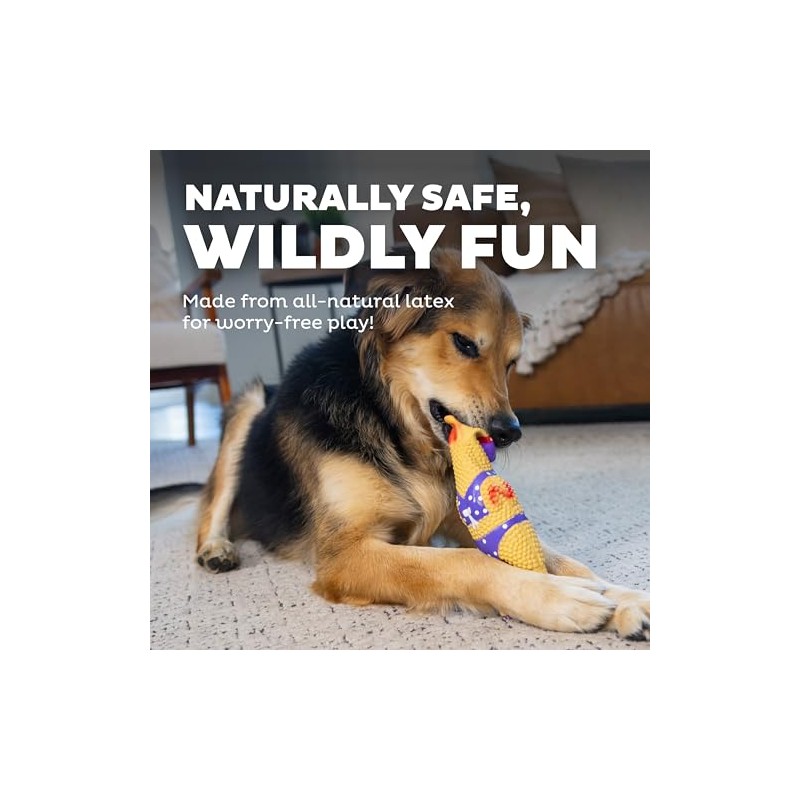 Charming Pet Squawkers Dog Toys