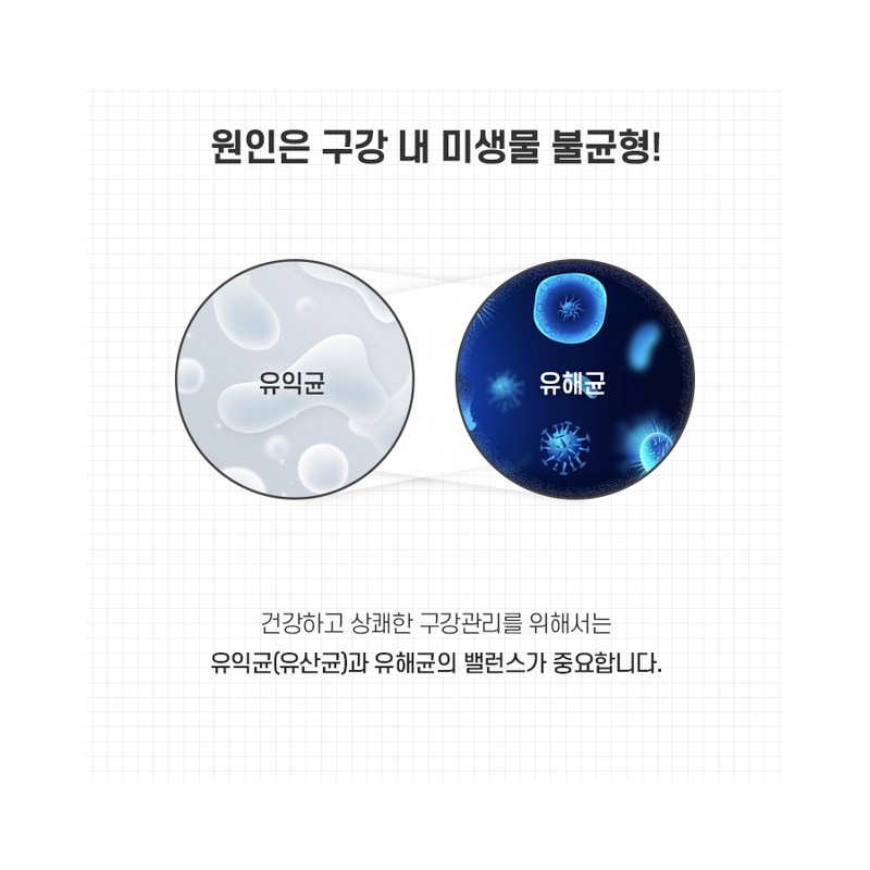 Newly 구강유산균 특허 프로바이오틱스 입냄새 잇몸 덴탈 케어 자일리톨 함유
