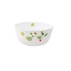 Corelle Dinnerware