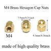 Pro Bamboo Kitchen 30pcs M4 Brass Hexagon Cap Nut Gold