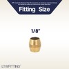 LTWFITTING 1/8-Inch Brass Compression Sleeves Ferrels,Brass Compression Fitting(Pack of 50)