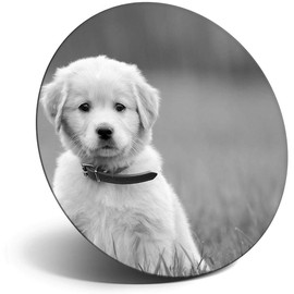 Destination Vinyl ltd Magnet for Refrigerator, Fridge BW - Cute Labrador Puppy Dogs Animals Pets for Office, Cabinet and Whiteboard, Magnetic Stickers, 41294