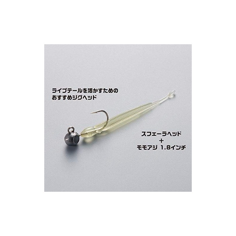 SHIMANO 03T SW-118P Warm Soare Momoji 1.8 Inch Sparkling Carnival