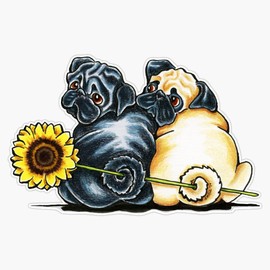 Magnet Sunny Pugs Magnet Bumper Sticker Car Magnet Flexible Reuseable Magnetic Vinyl 5"