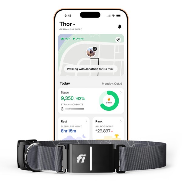 Fi Series 3+ Smart Dog Collar - GPS Dog Tracker