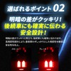 Takenous Takemura Shokai T20 LED Double Light Switch Built-in Kururtale