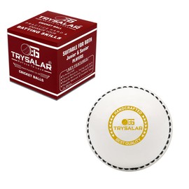 TrySalar Soft Cricket Rubber Ball Indoor/Outdoor for Junior Youth Adult Training, Coaching, Practice Excellent Bounce with Durable Traditional Seams Hand Stitched (White-1Pcs)