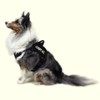 Dogline Adopt Me Vest Patches – Removable Adopt Me Patch