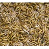 Wheat Bran Unprocessed 100% Natural Coarse Non-GMO | Mushroom Mycelium