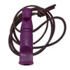 ACME Double-Tone Whistle No. 640/641 with Free Leather Whistle Band