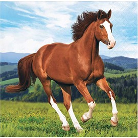 Wild Horse Beverage Napkins, 16 ct