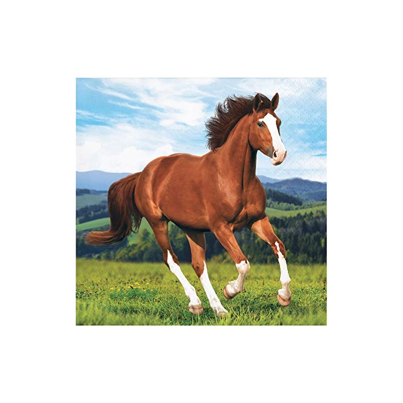 Wild Horse Beverage Napkins, 16 ct