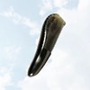 EXCEART Handmade Ox Horn Massage Comb Anti-static Fine Teeth Pocket
