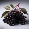 Elderberry High Strength Flavouring - 230+ Flavours - Galaxy Food
