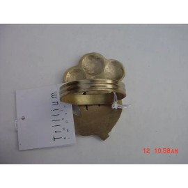 Trillium 12  Gold  Color   Cherries  Napkin  Rings  NEW