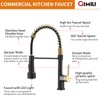 GIMILI Black and Gold Kitchen Faucet with Pull Down Sprayer