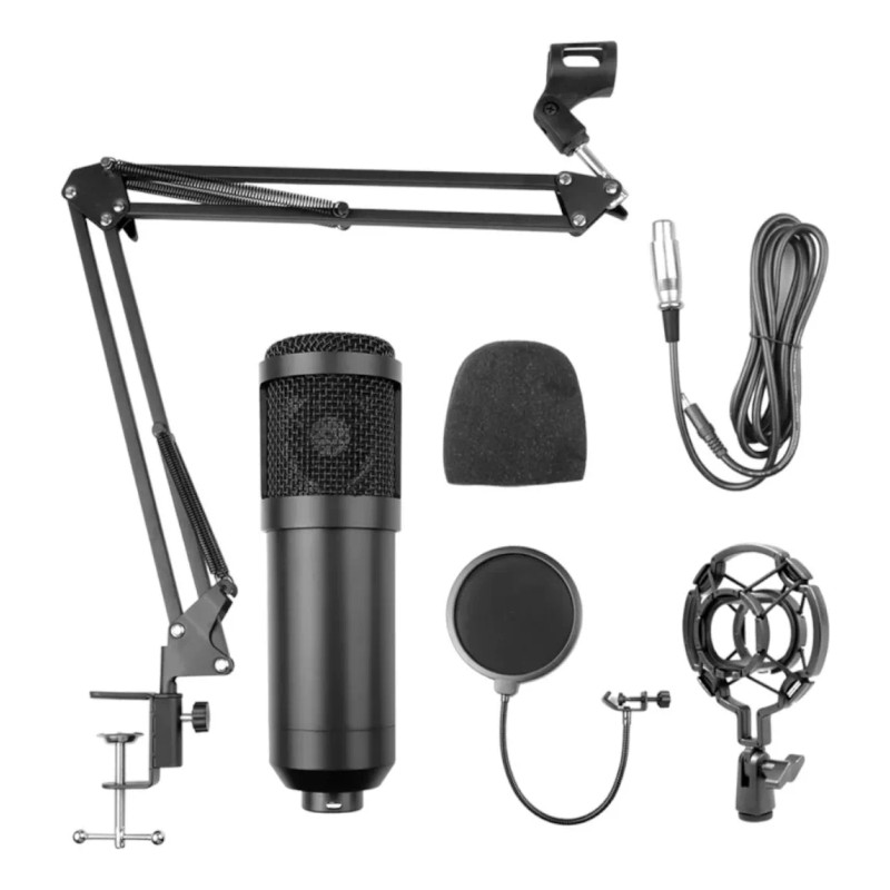 Eco R Kit Microfono Profesional Condensador Grabacion Estudio Ktv